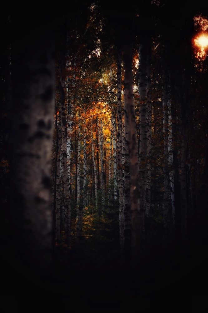 Photograph by Астафьева Анастасия