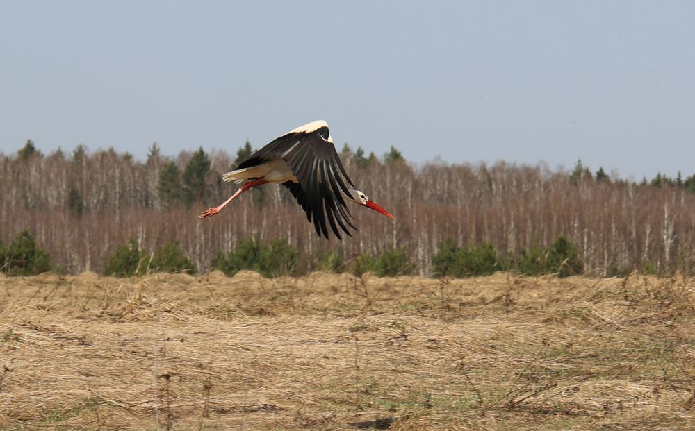 Photograph by Мария Поливода