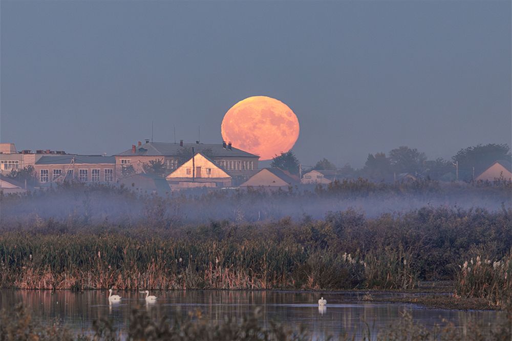 Photograph by Vitaly Lapin