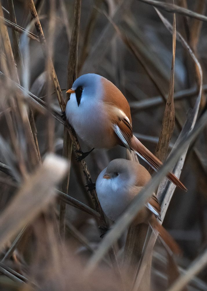 Photograph by Ekaterina Romanova