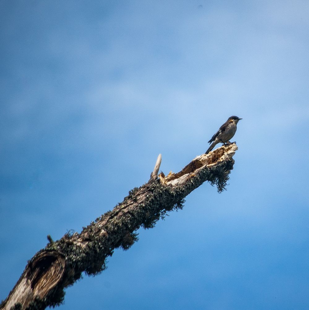 Photograph by Craigan Wilkinson