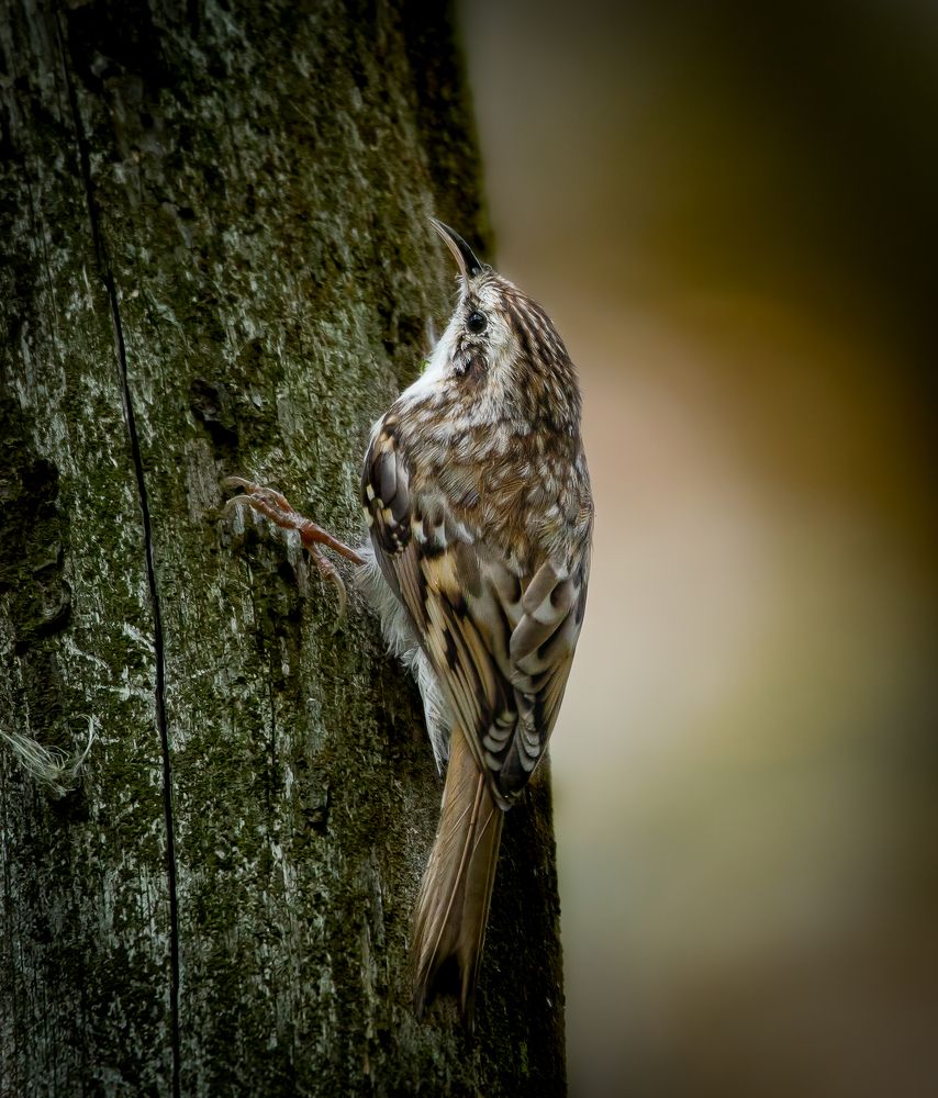 Photograph by Марина