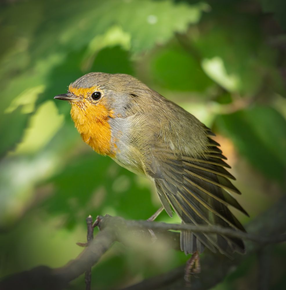 Photograph by Марина