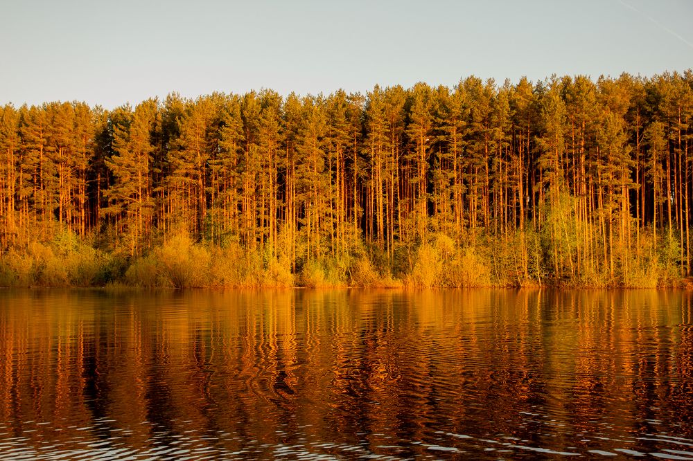 Photograph by Татьяна Казакова