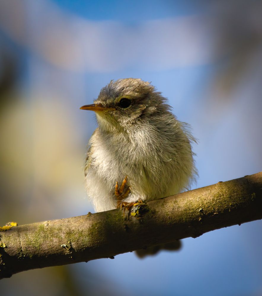 Photograph by Марина