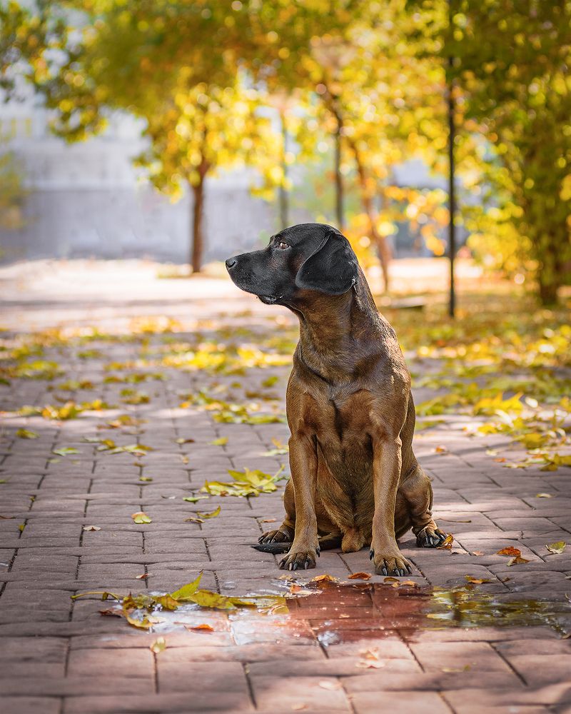Photograph by Виктория Сафонова