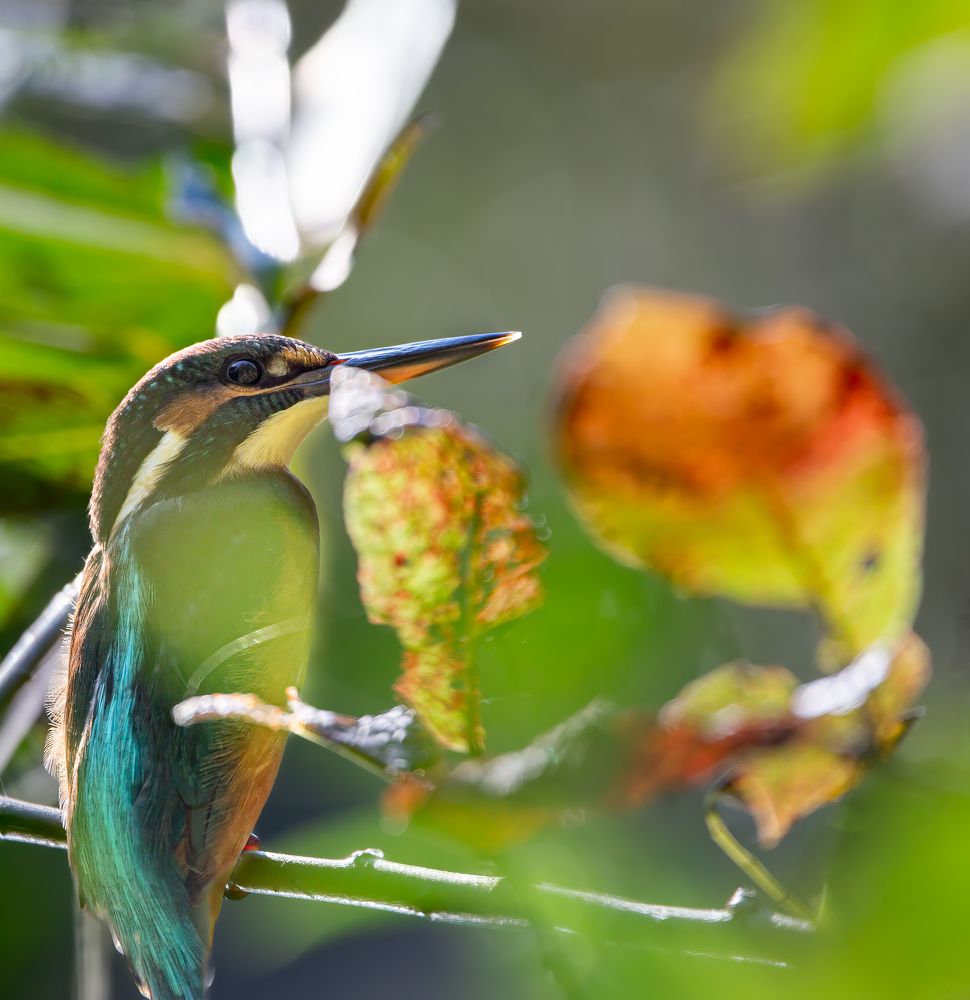 Photograph by Марина