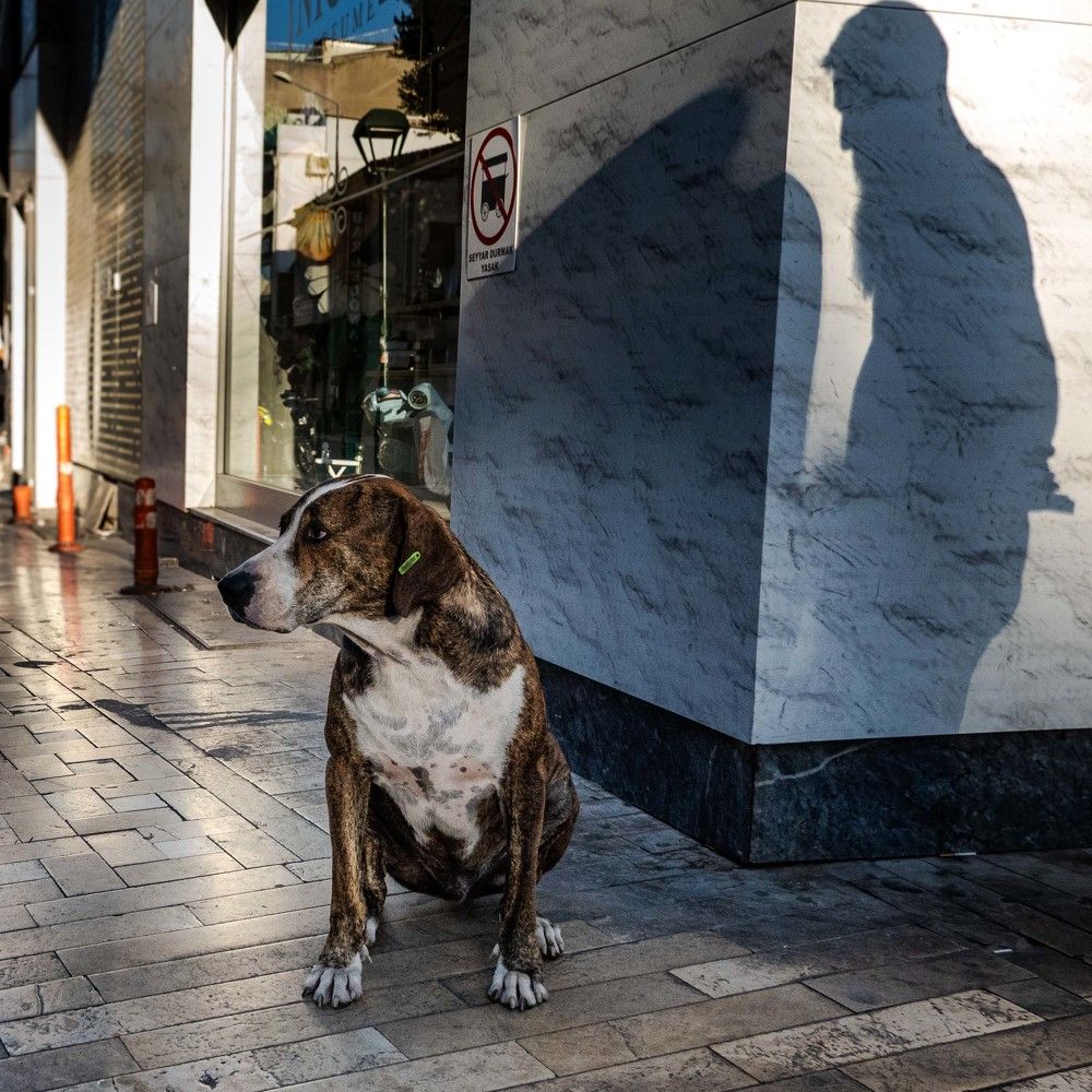 Своя история