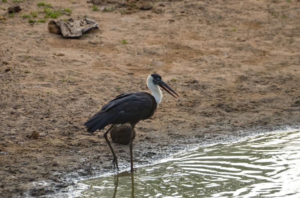 Photograph by Jaspreet Singh