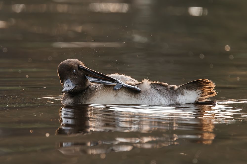 Photograph by Андрей Сериков