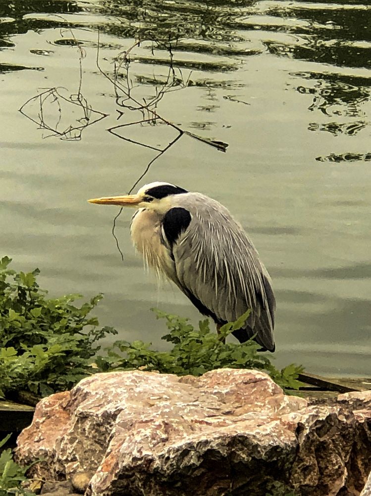 Фотография автора Светлана Гончарова