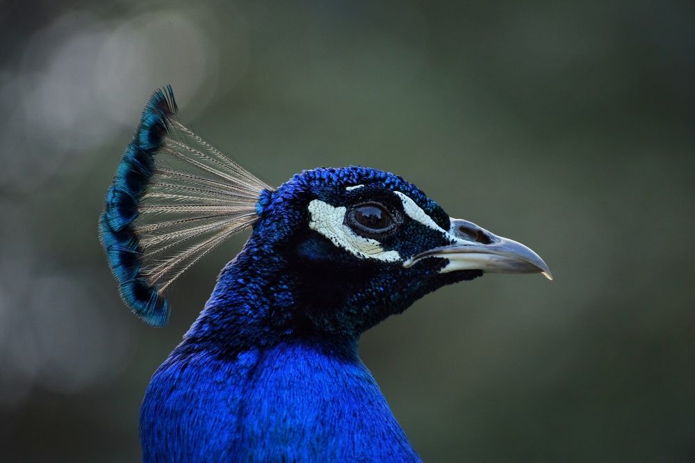 Photograph by Юлия Гайдукевич