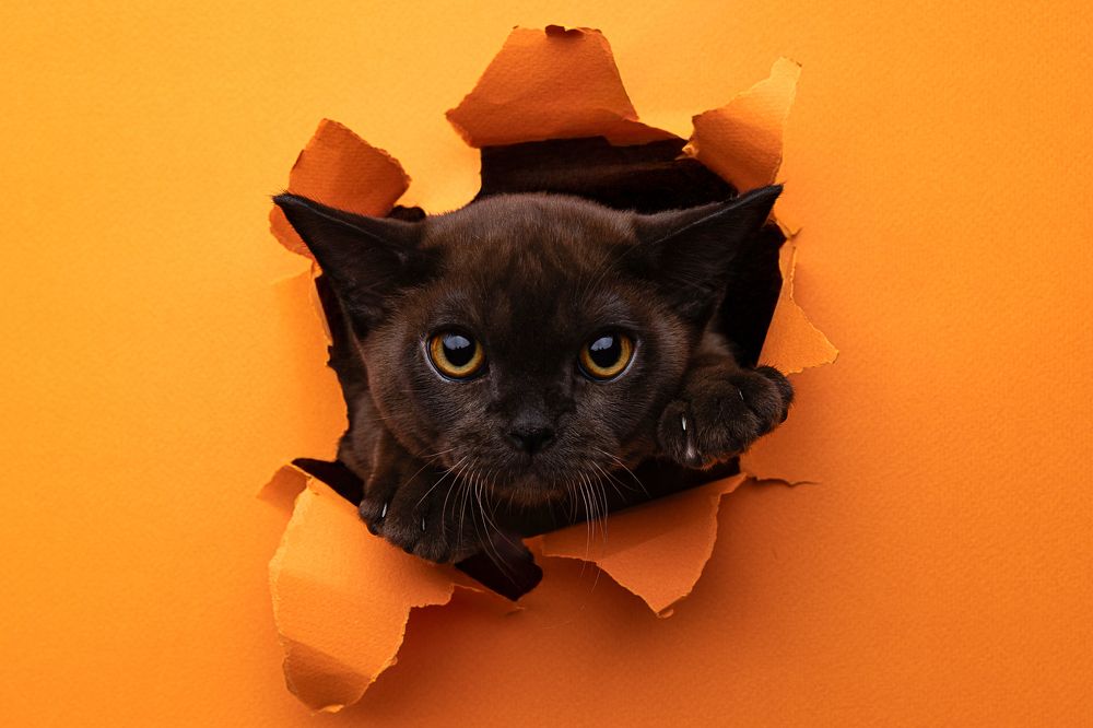 Photograph by Юрий Вавилов