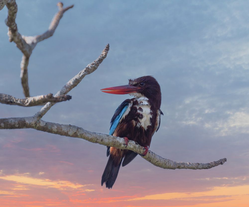 Photograph by NADEZHDA PELYMSKAIA