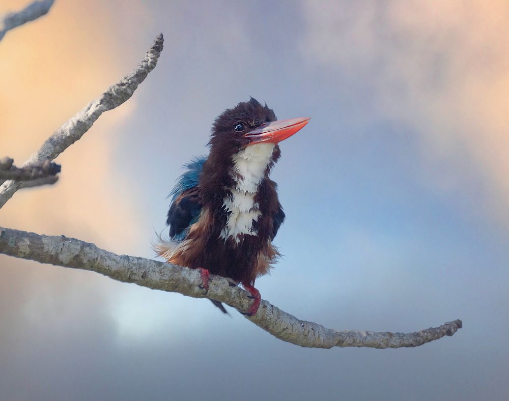 Photograph by NADEZHDA PELYMSKAIA