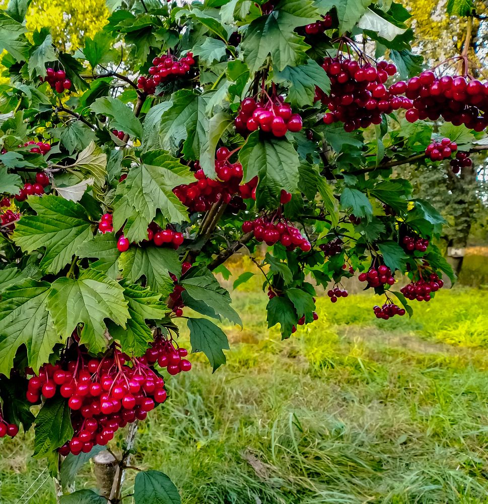Photograph by Евгений Соколов