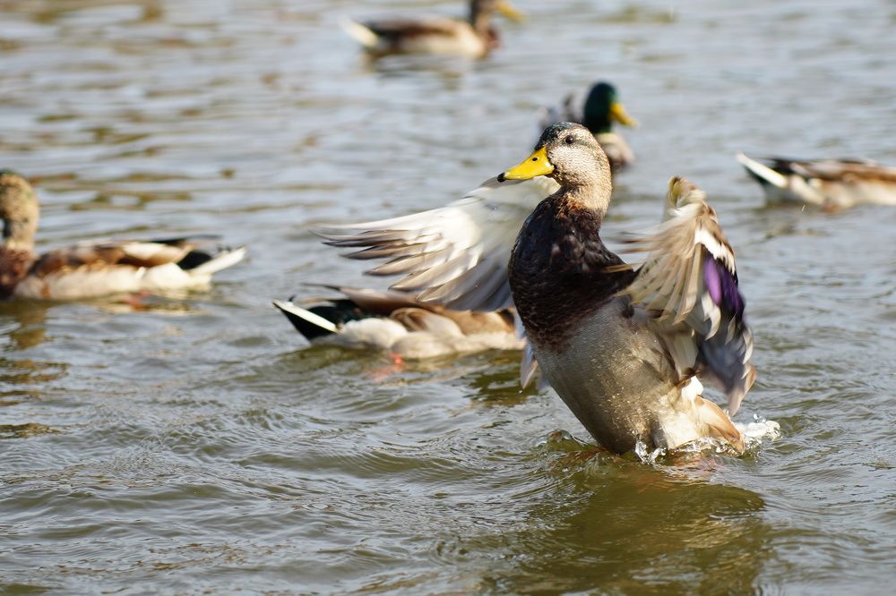 Фотография автора Ксения