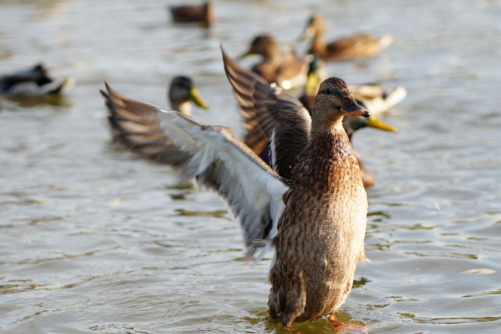 Фотография автора Ксения