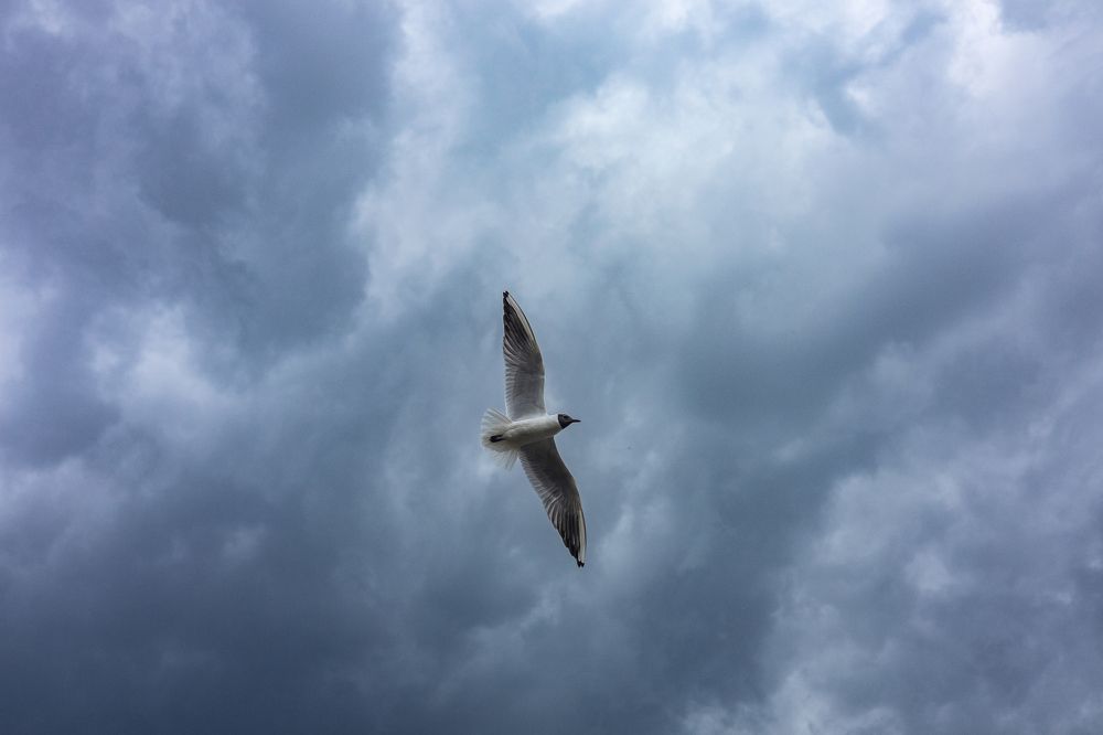 "Штормит, полет нормальный!"