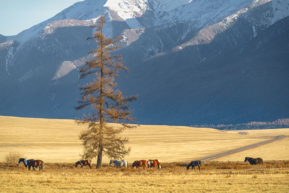 Photograph by Шварцман Евгений