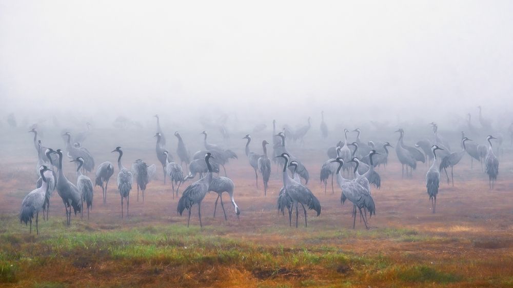 Photograph by Шварцман Евгений