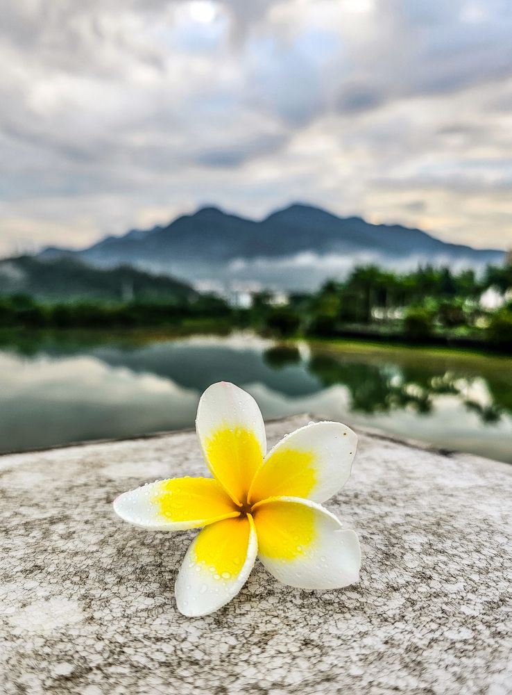 Photograph by Сергей Кесаев