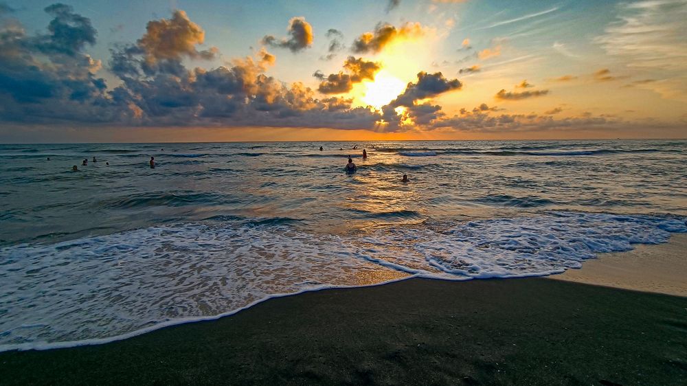 Photograph by Alex Kalpus