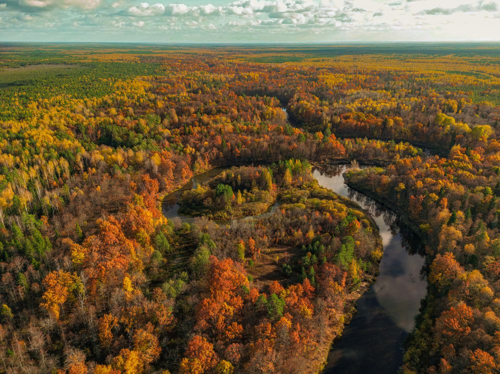 Photograph by Ксения Илюшина