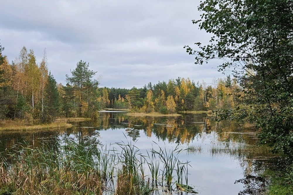 Photograph by Анастасия Свиридова