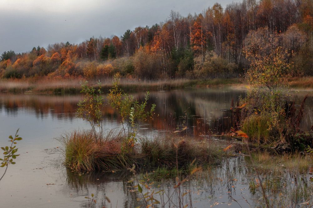Photograph by Наталья Вторыгина