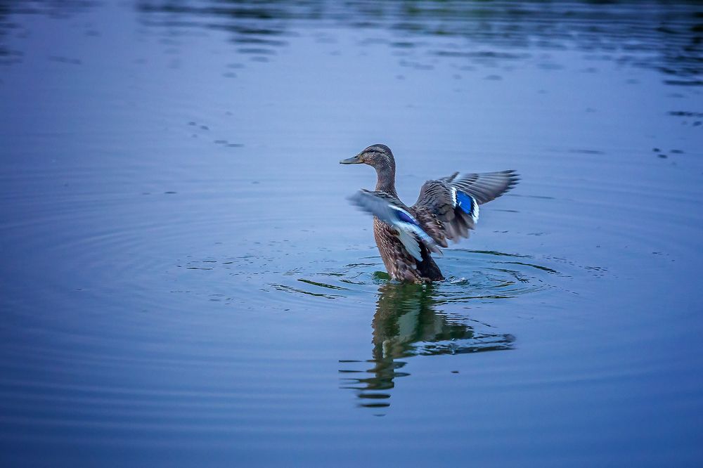 Photograph by Алексей Трифонов