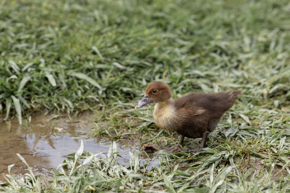 Photograph by Наталья Угрюмова