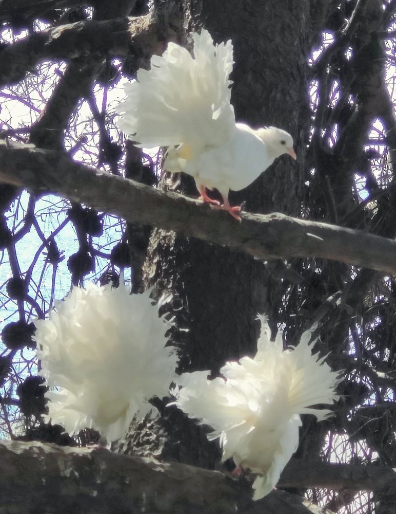 Photograph by Татьяна Гулакова
