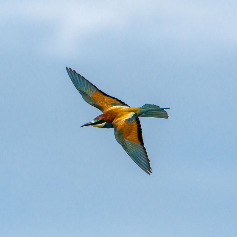 Photograph by Pucs Fongabe