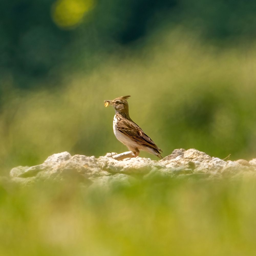 Photograph by Pucs Fongabe