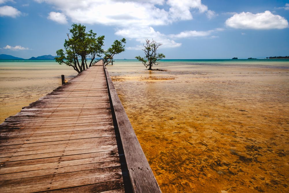 Photograph by Андрей Данилов