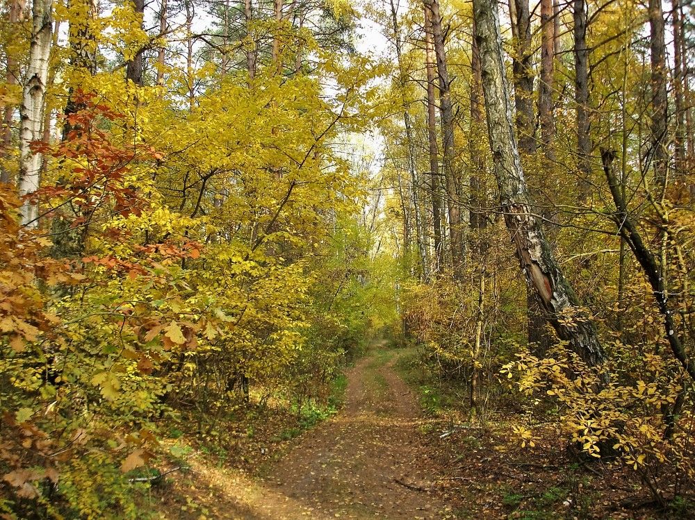 Photograph by Мила Милая