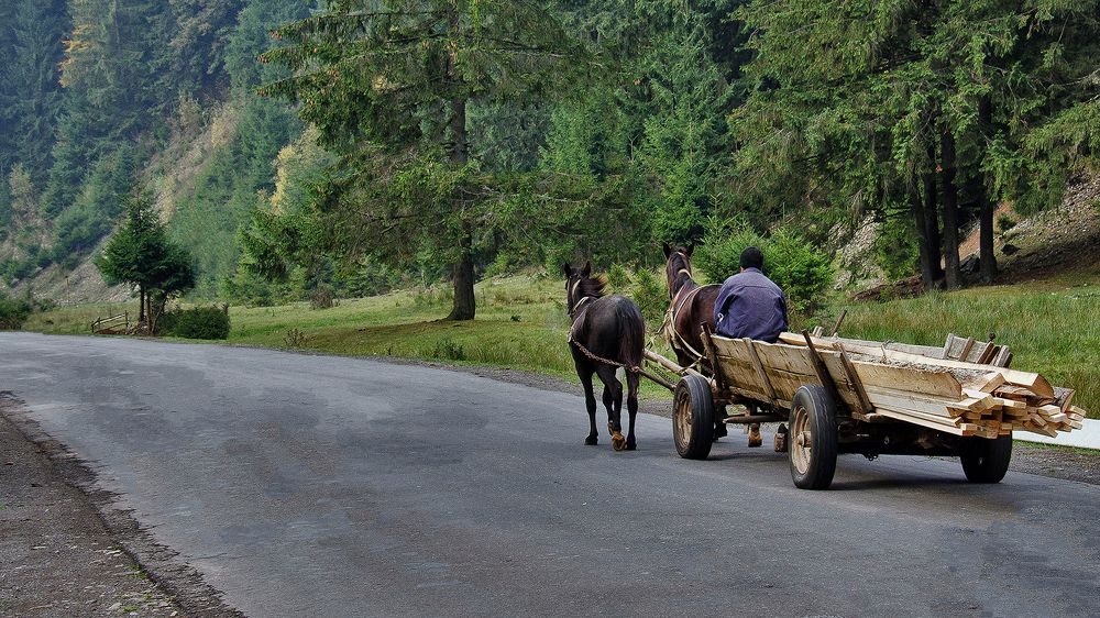 Вся жизнь не спеша