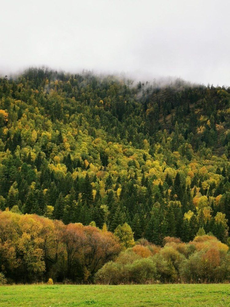 Фотография автора Андрей Богданов