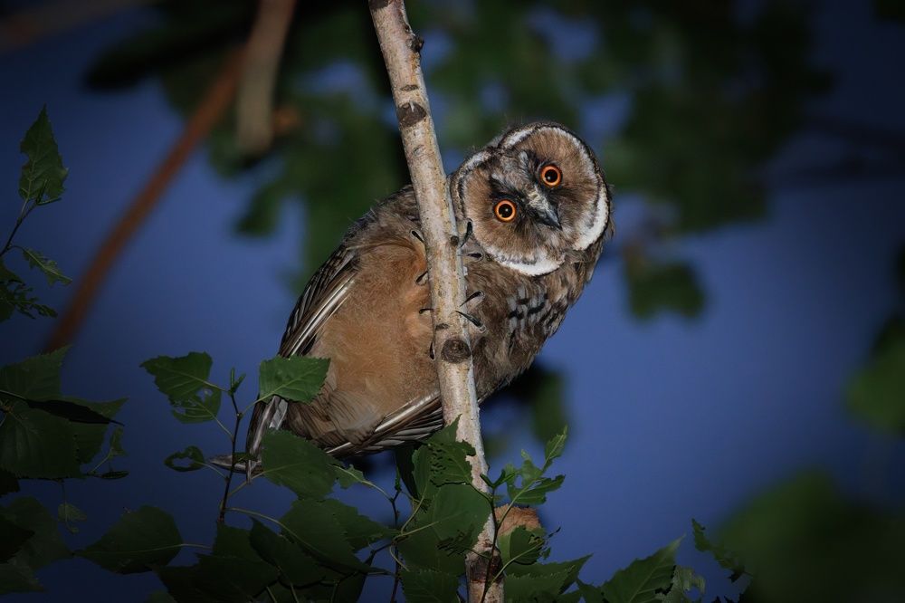 Фотография автора Гильманов Артур