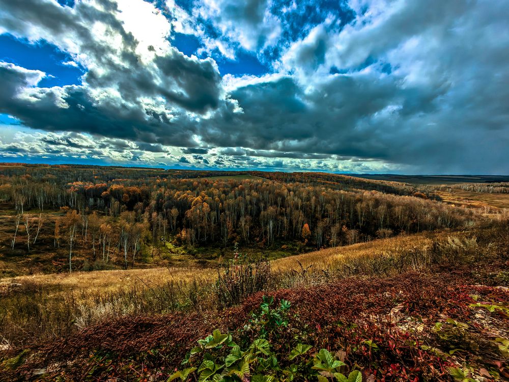 Photograph by Сергей Гриднев