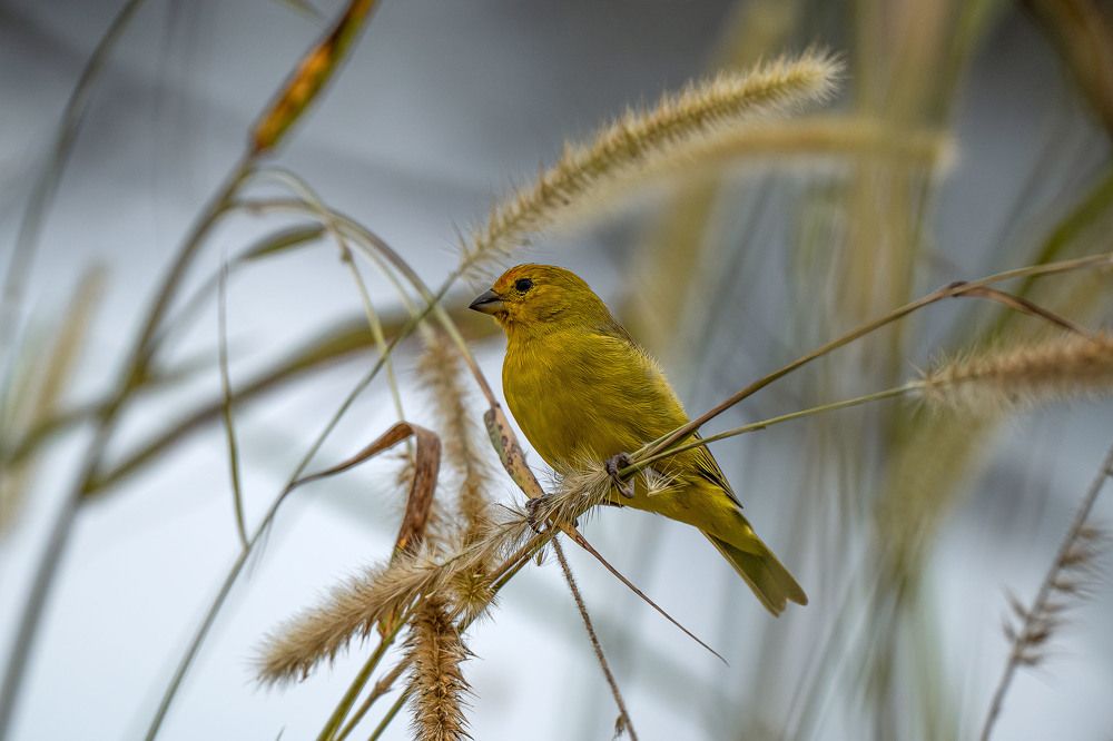 Photograph by Ангелина Ильичева