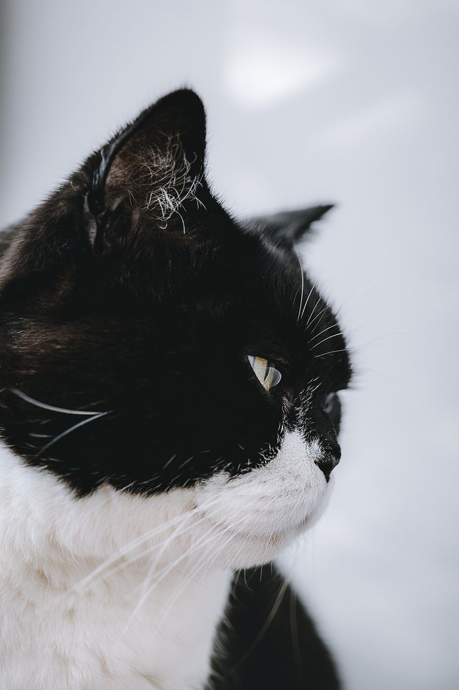 Photograph by Остапенко Алина