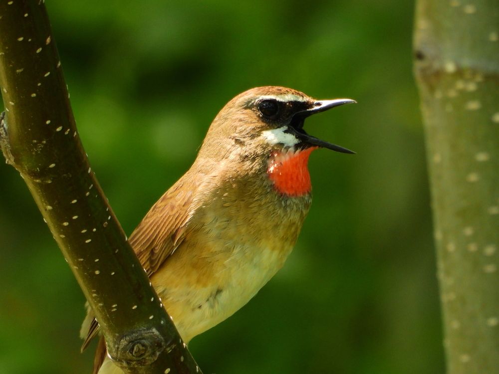 Photograph by Дмитрий Юдин