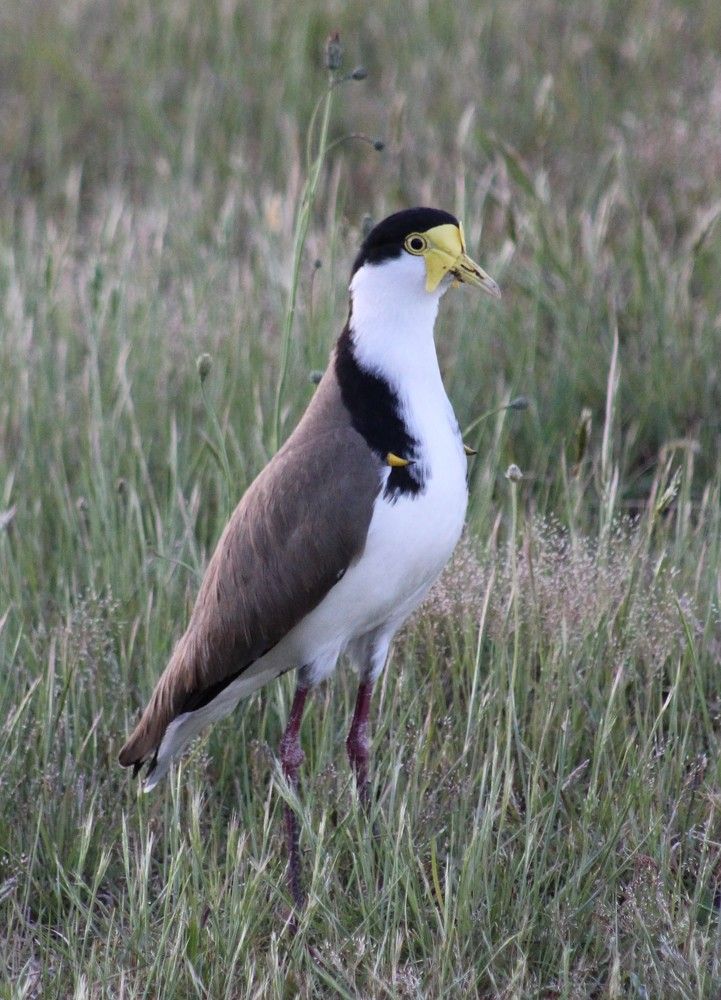 Photograph by Kirsteen Isles