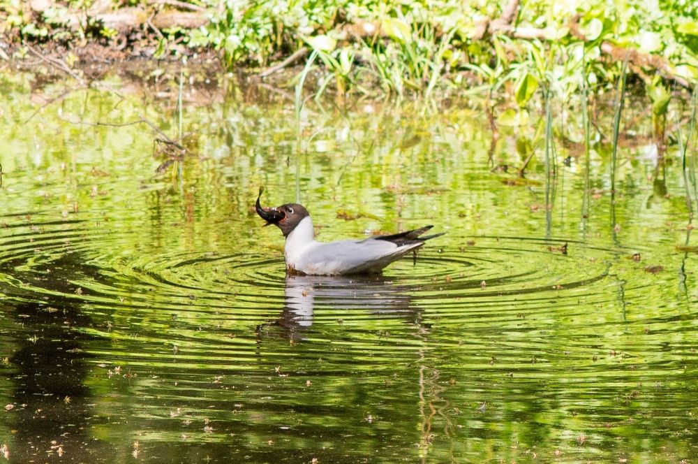 Photograph by Анастасия