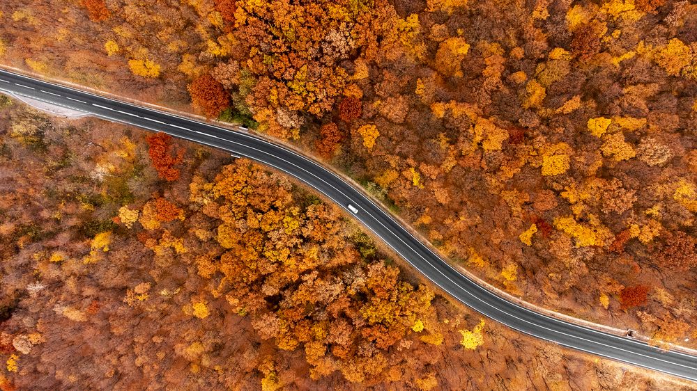 Photograph by Alexandru George