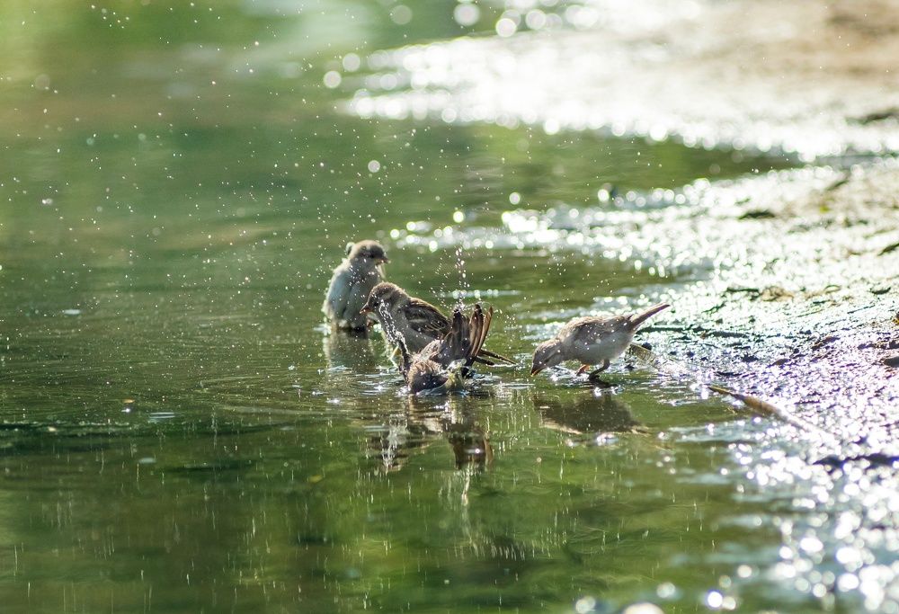Photograph by Анастасия