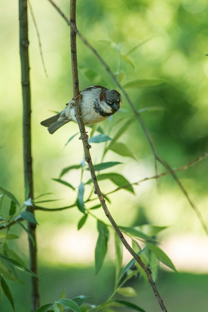 Photograph by Анастасия
