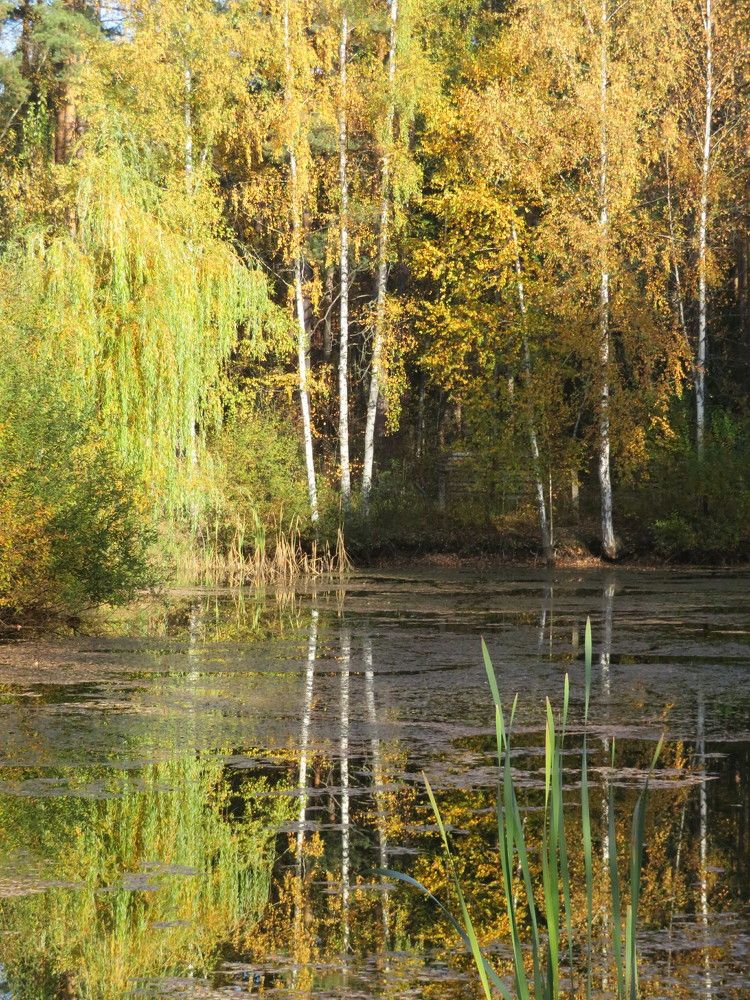 Photograph by Мария Кодун-Иванова